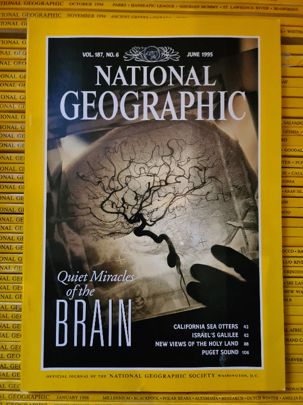 National Geographic 1995 (12 issues)