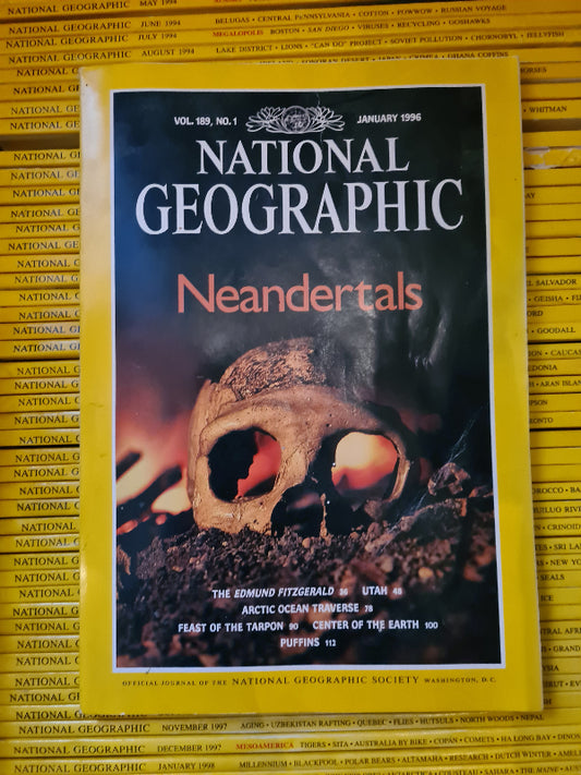 National Geographic 1996 (12 issues)