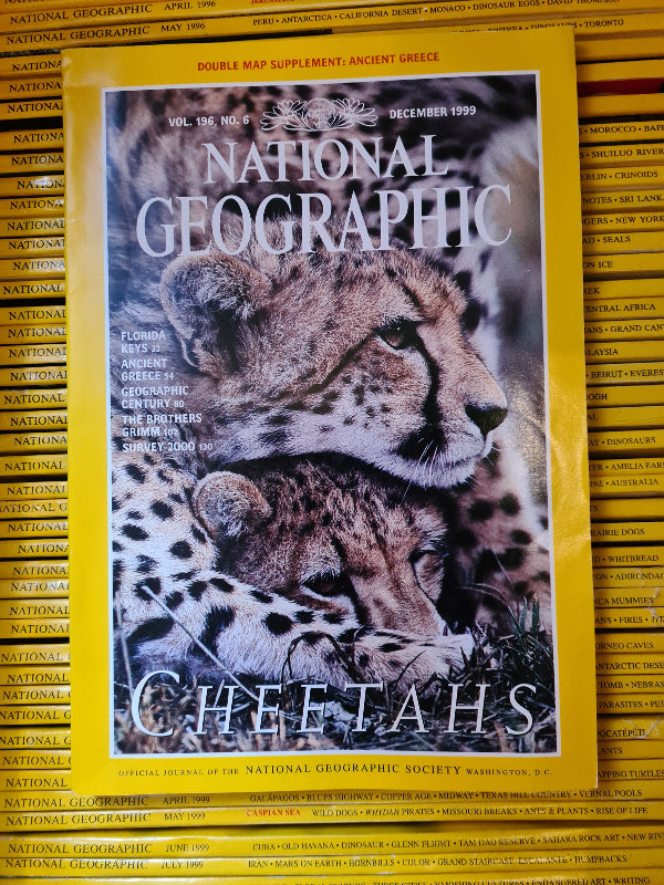 National Geographic 1999 (12 issues)