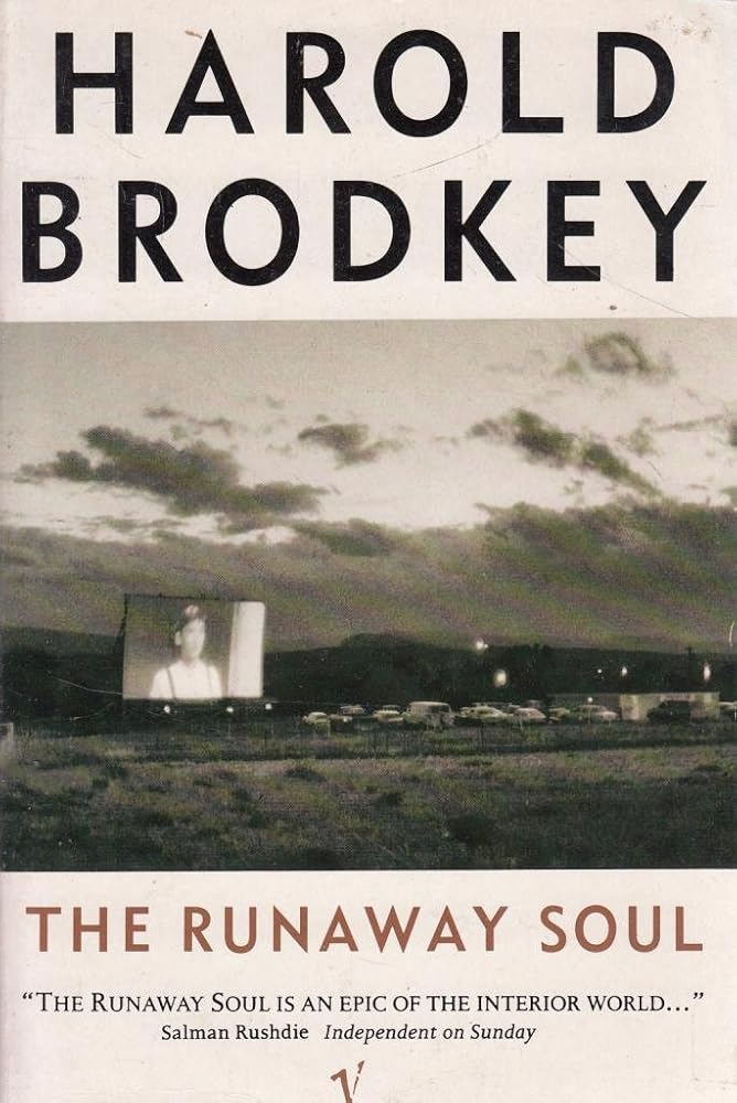 The Runaway Soul cover image