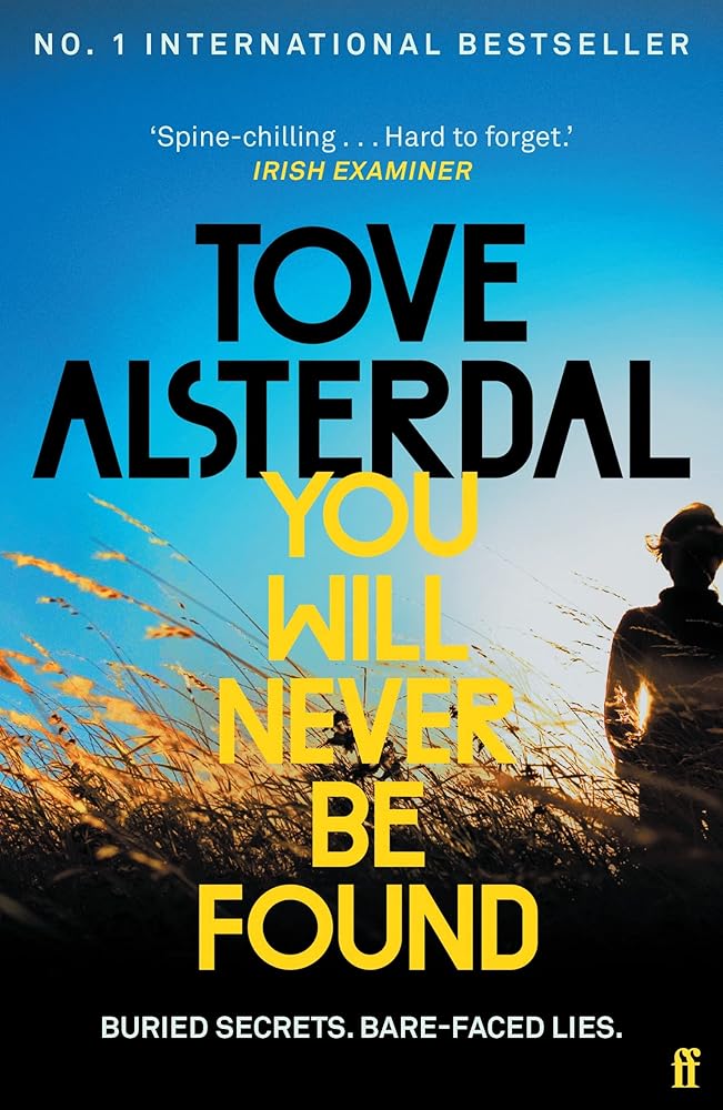 You Will Never Be Found: The No. 1 International Bestseller (High Coast series) cover image