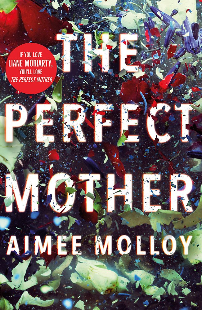 Perfect Mother cover image
