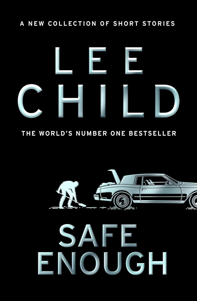 Safe Enough cover image