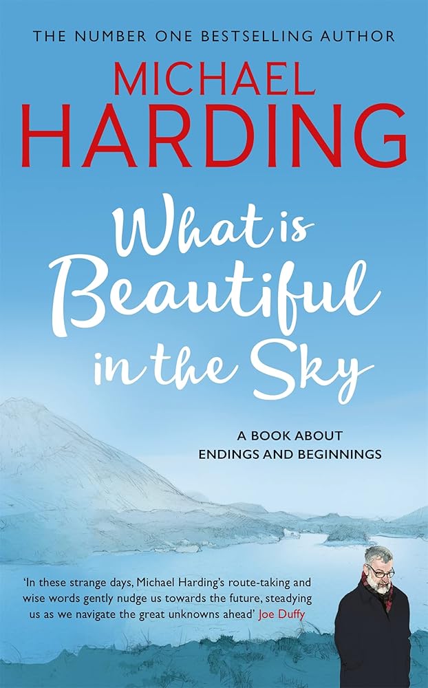 What is Beautiful in the Sky: A book about endings and beginnings cover image
