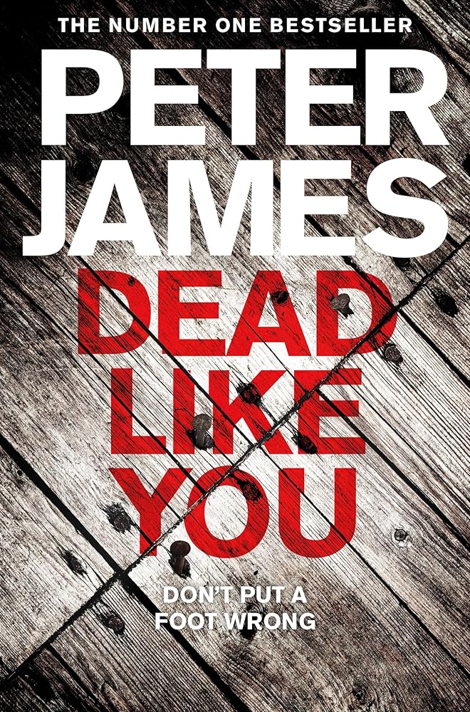 Dead Like You (Detective Superintendent Roy Grace, 6) cover image