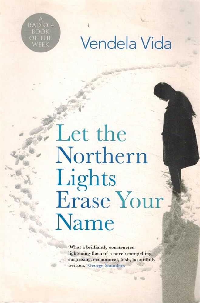 Let The Northern Lights Erase Your Name - A Novel cover image