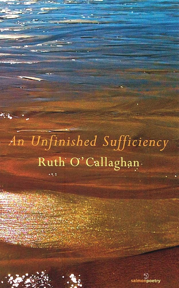 An Unfinished Sufficiency cover image