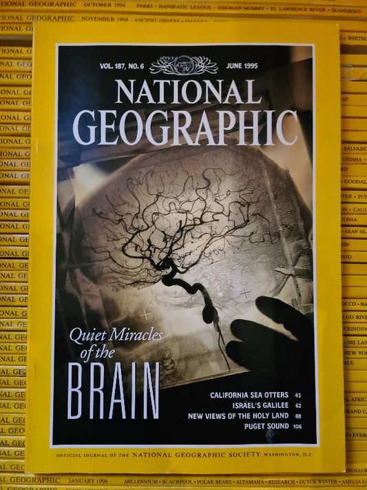 National Geographic 1995 (12 issues)