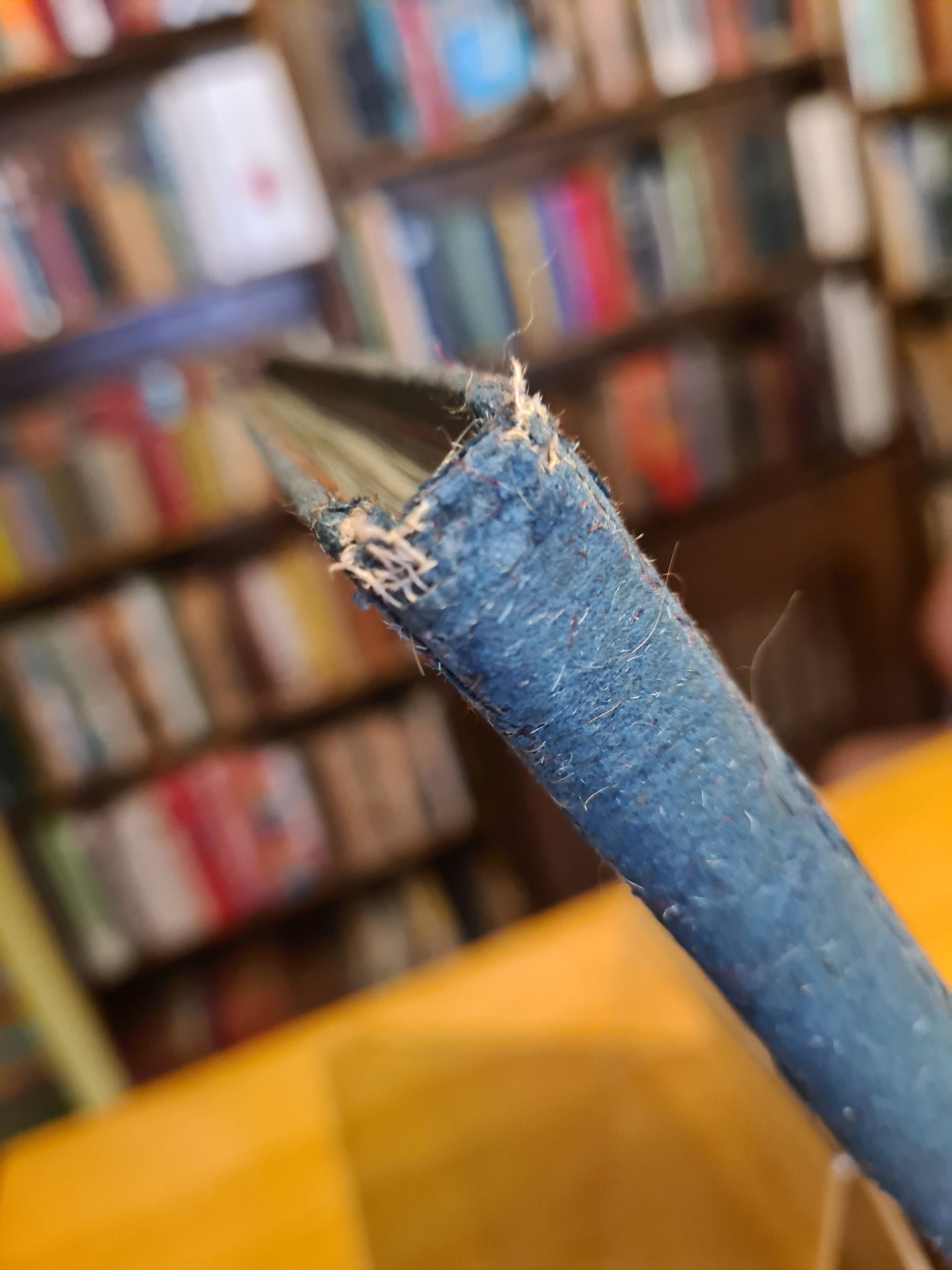 Being a Nameless Lyric: The Poet and the Cricket [First Edition], Robert Browning, Edmond Gosse