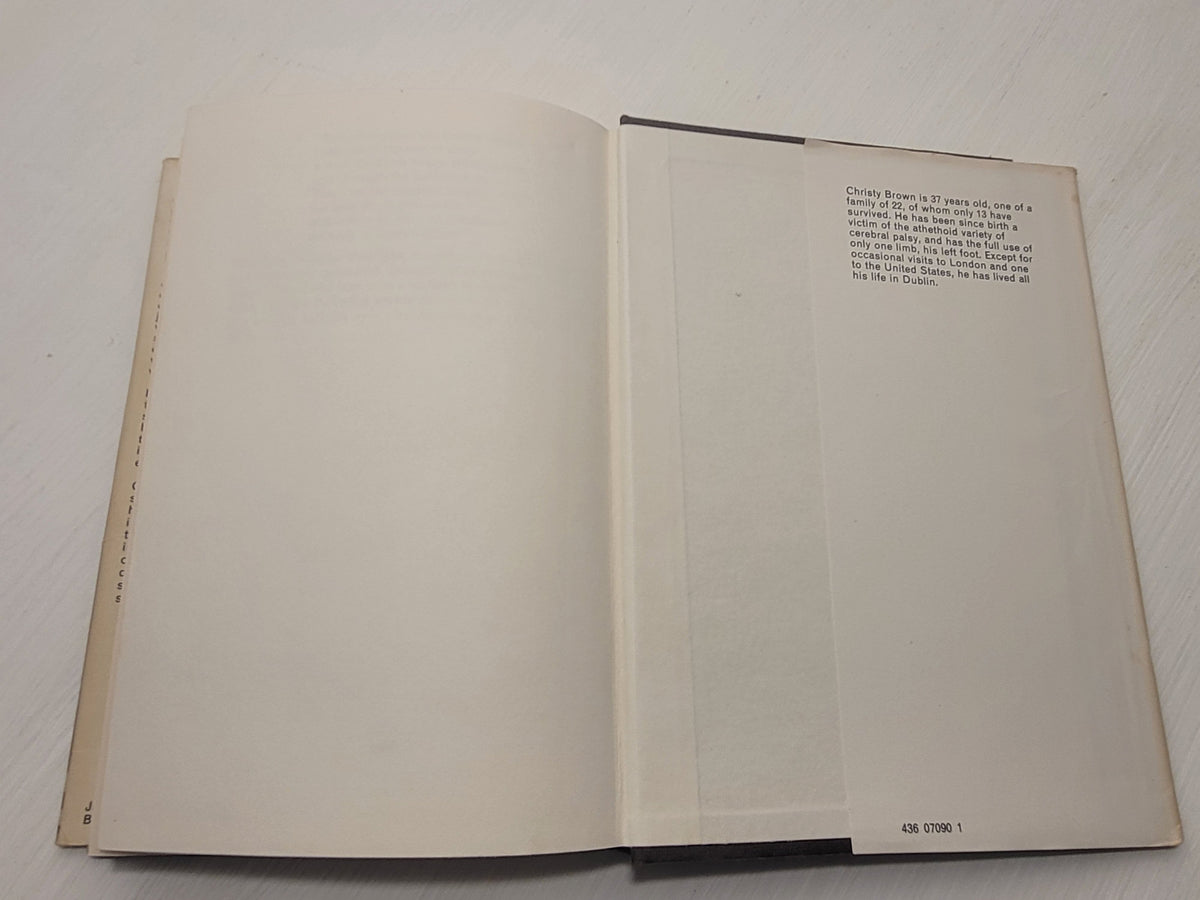 Down all the Days [Hardback], Christy Brown