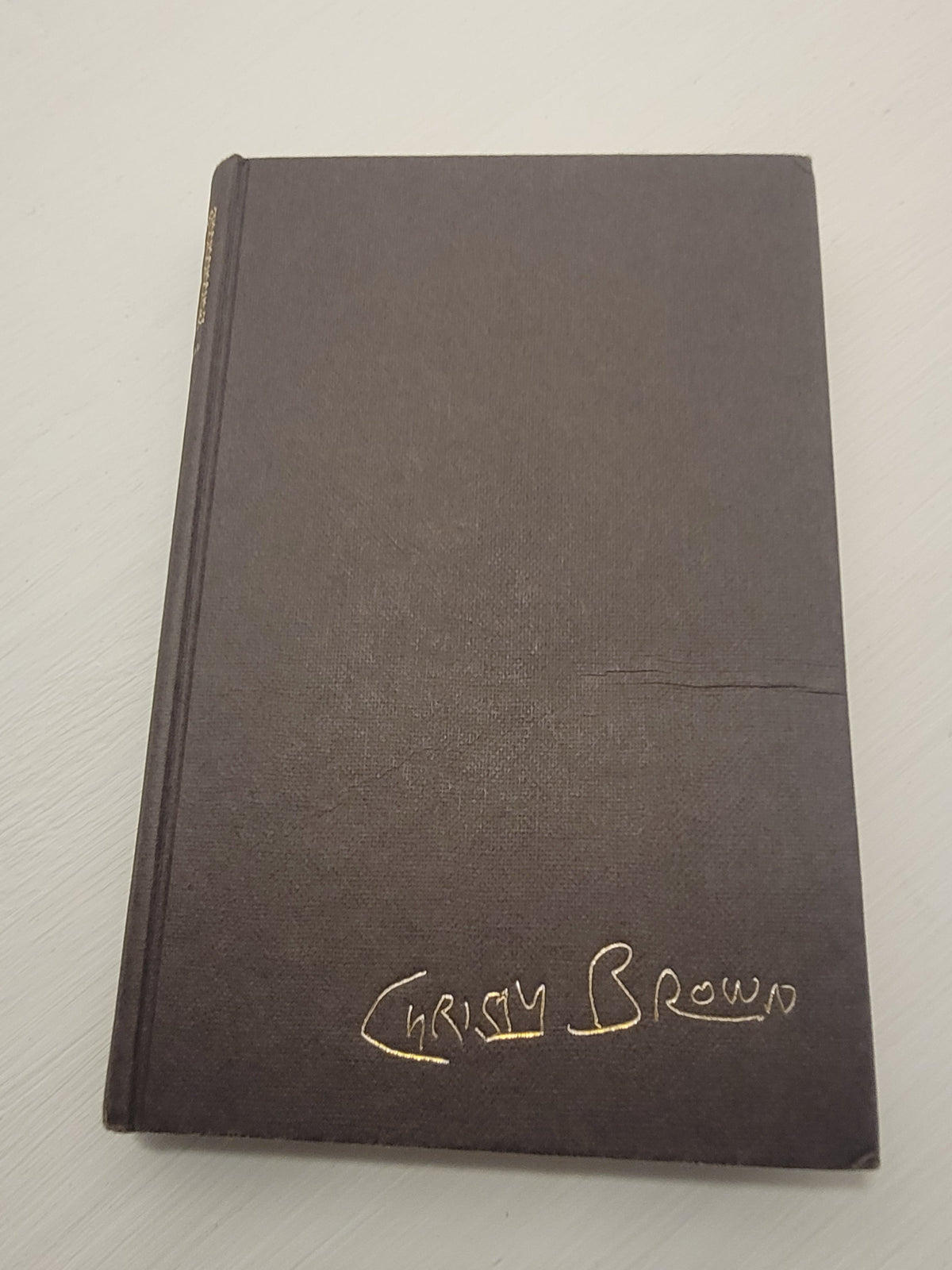 Down all the Days [Hardback], Christy Brown