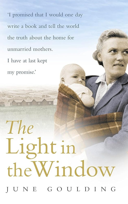 The Light in the Window cover image