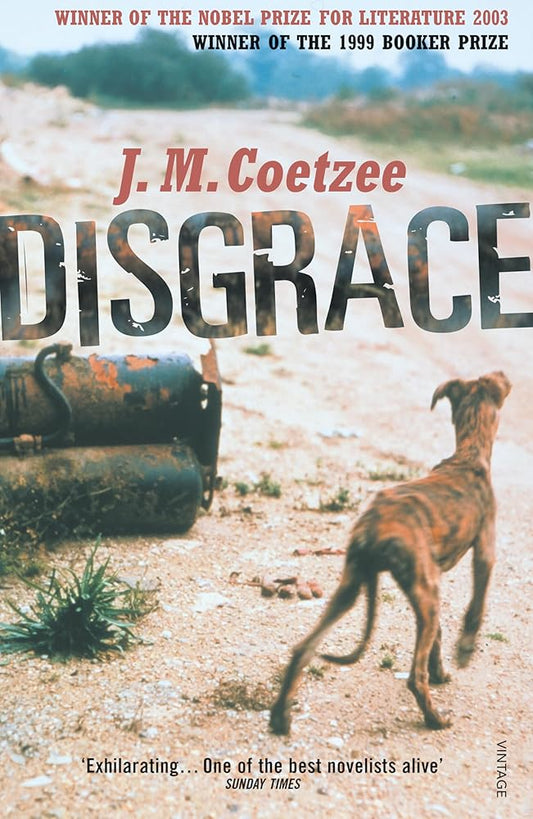 Disgrace cover image