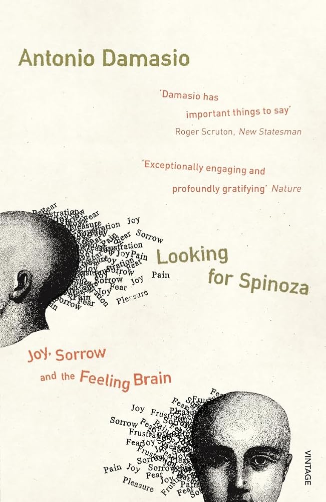Looking for Spinoza: Joy, Sorrow, and the Feeling Brain cover image
