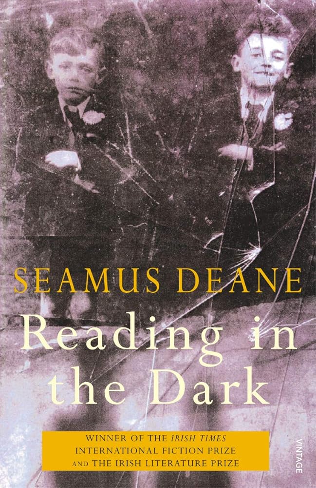 Reading in the Dark cover image