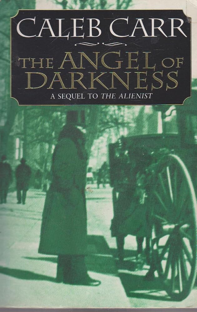 The Angel of Darkness cover image