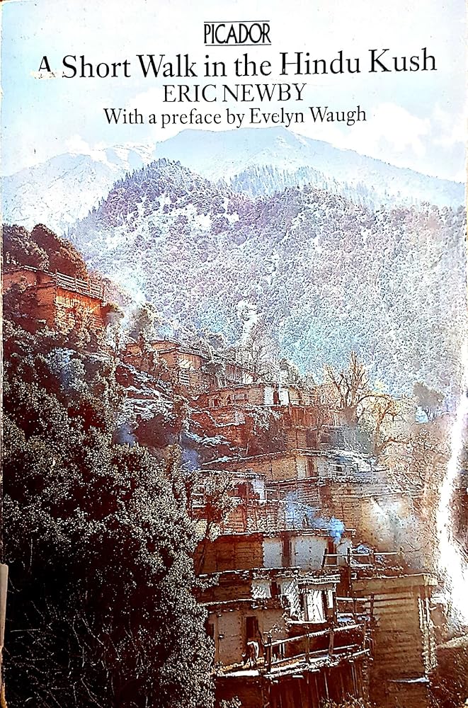 A SHORT WALK IN THE HINDU KUSH (PICADOR BOOKS) cover image