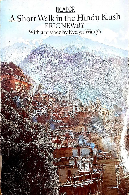 A SHORT WALK IN THE HINDU KUSH (PICADOR BOOKS) cover image