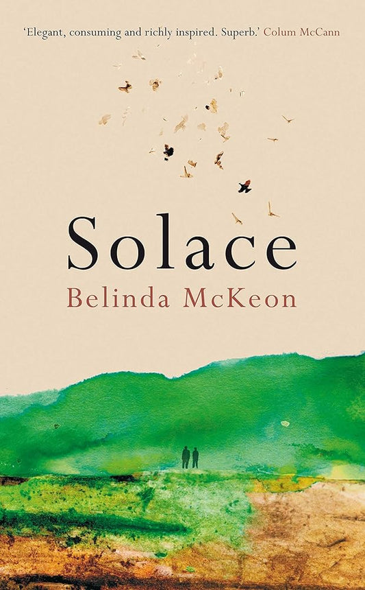 Solace cover image