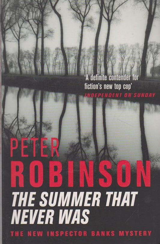 The Summer That Never Was cover image