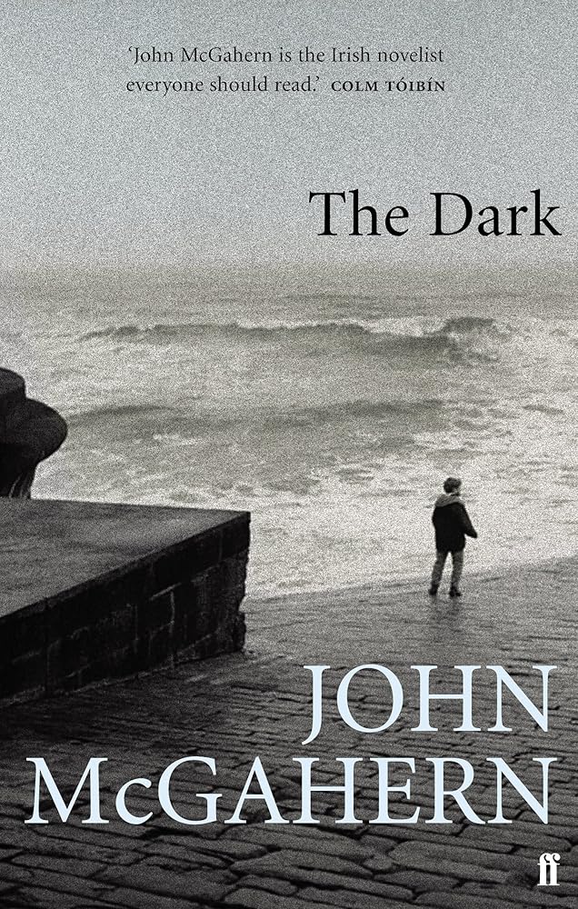 The Dark cover image