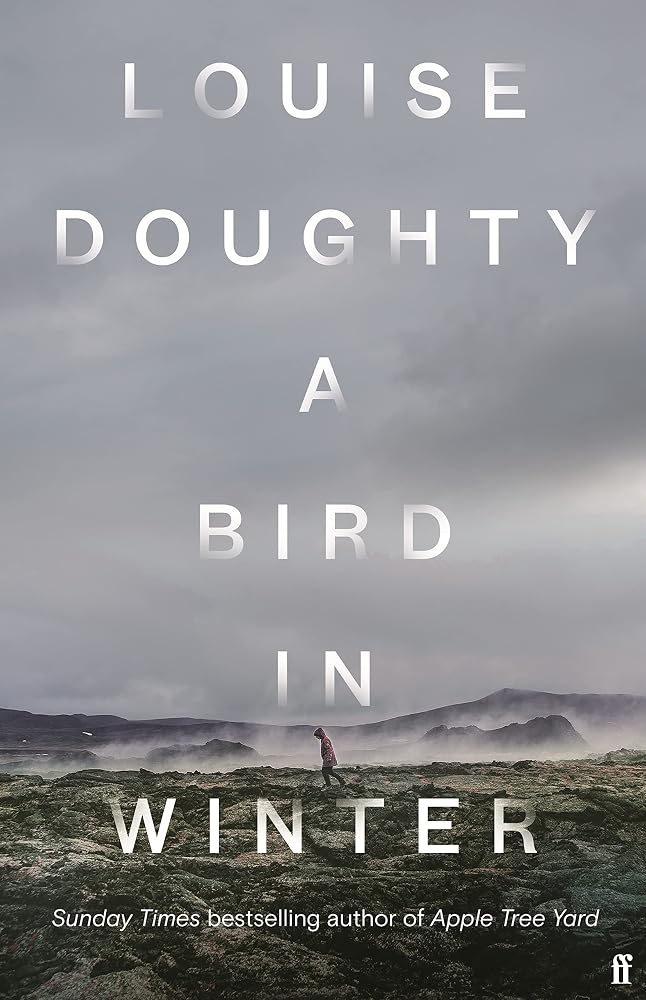 A Bird in Winter cover image
