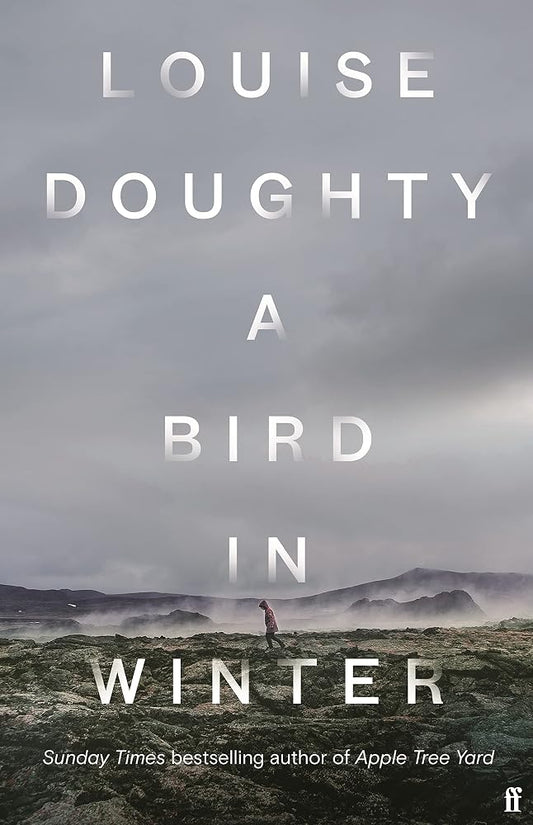 A Bird in Winter cover image