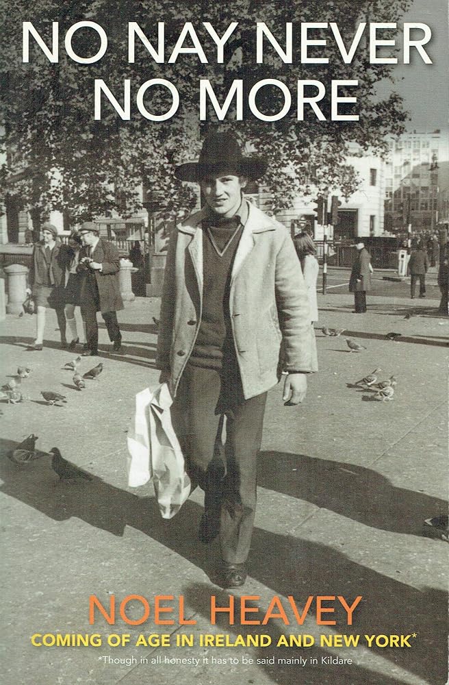 No Nay Never No More: Coming of Age in Ireland and New York Though in All Honesty it Has to be Said Mainly in Kildare cover image