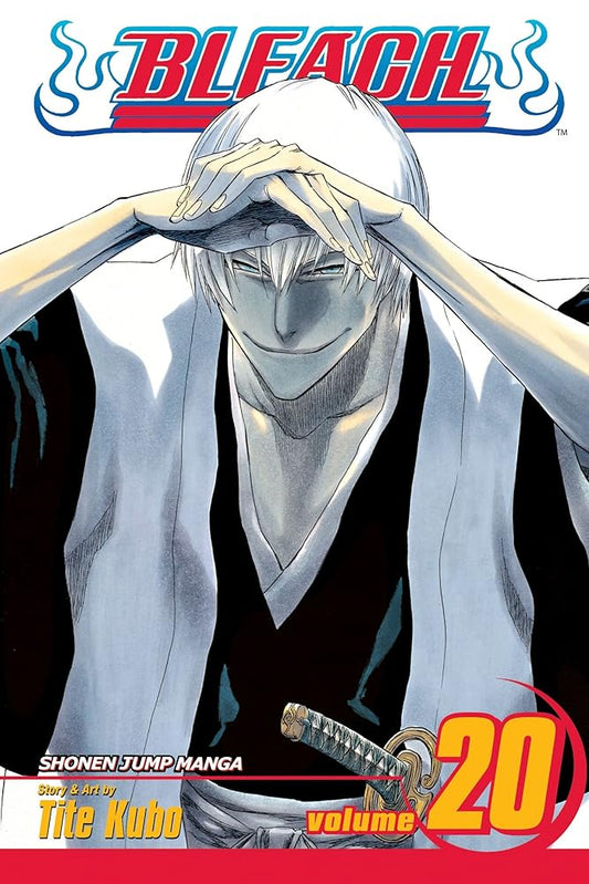 Bleach, Vol. 20 cover image