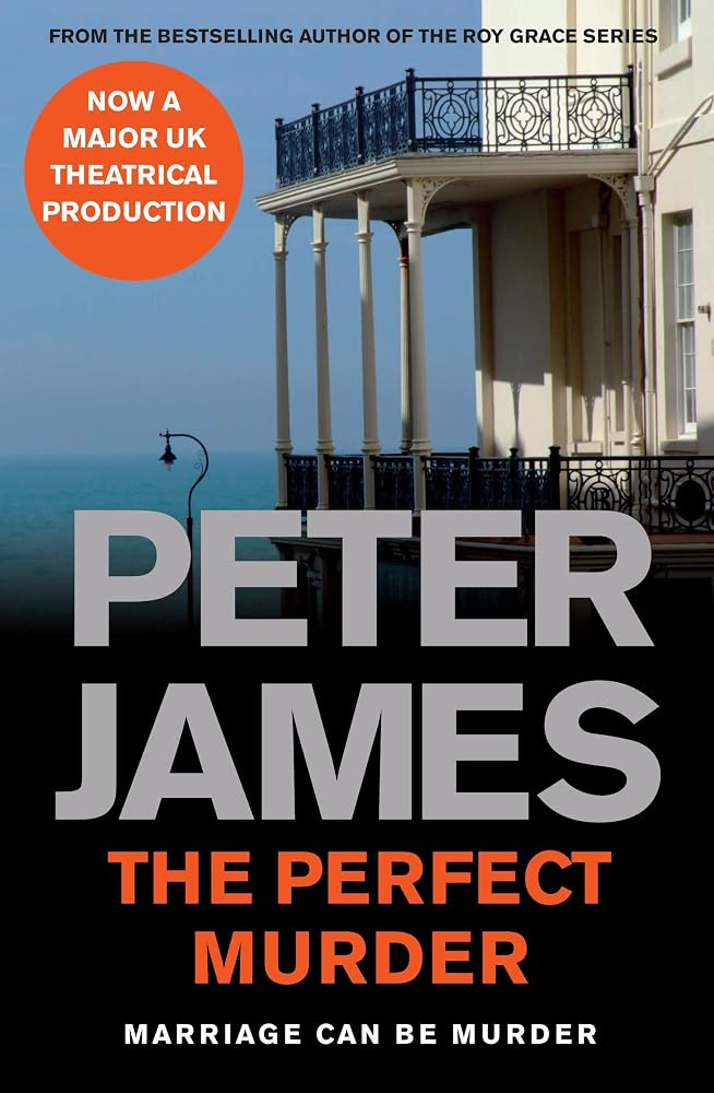 The Perfect Murder cover image