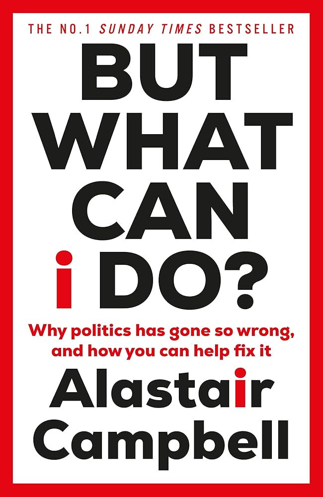 But What Can I Do?: Why Politics Has Gone So Wrong, and How You Can Help Fix It cover image