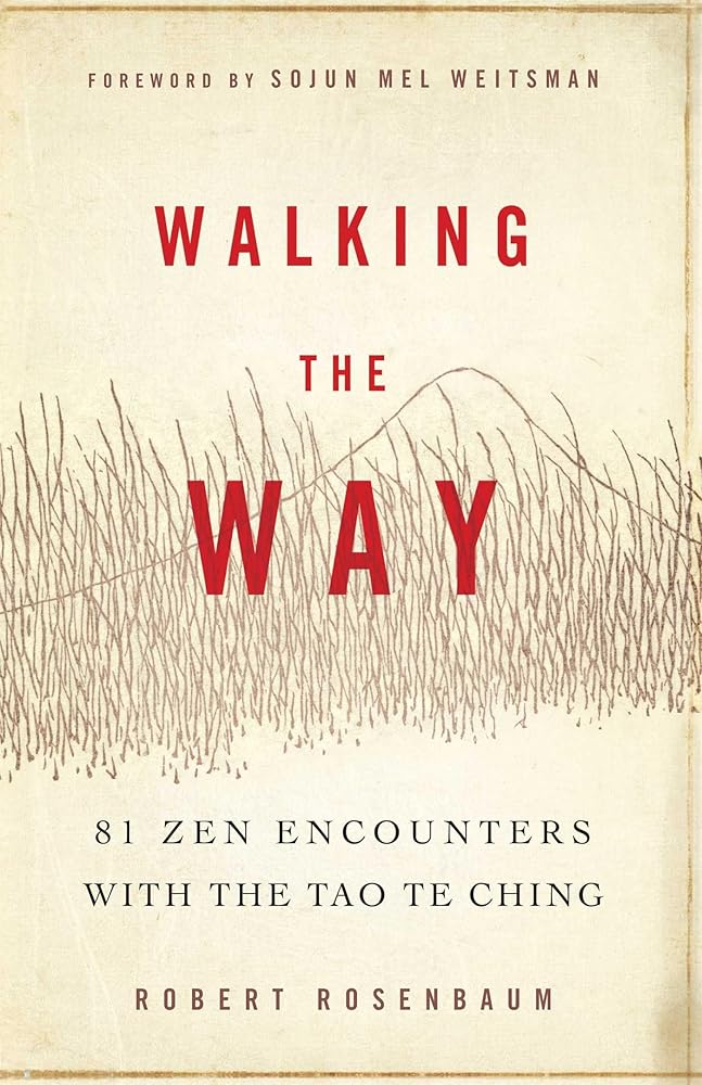 Walking the Way: 81 Zen Encounters with the Tao Te Ching cover image