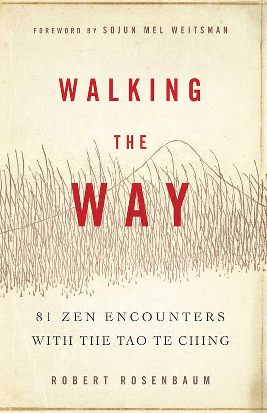 Walking the Way: 81 Zen Encounters with the Tao Te Ching cover image