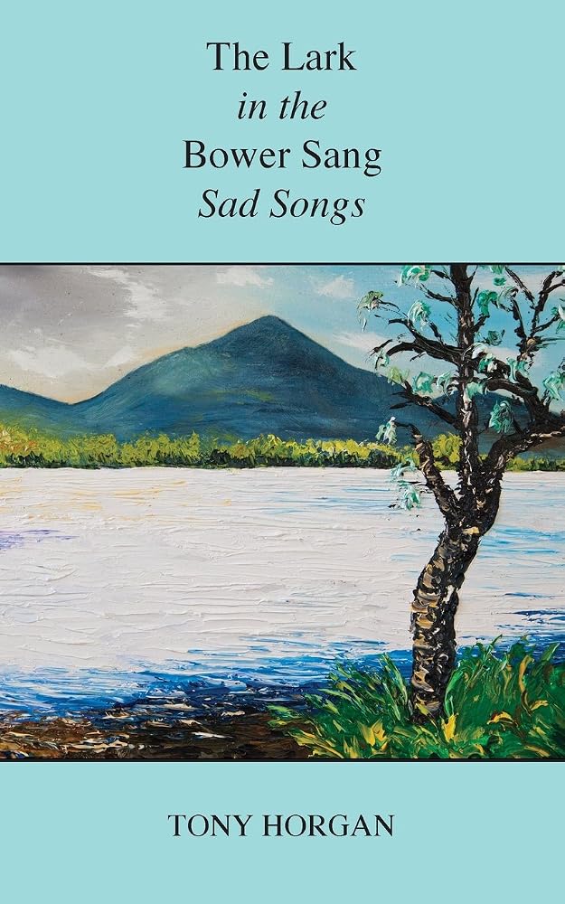The Lark in the Bower Sang Sad Songs cover image