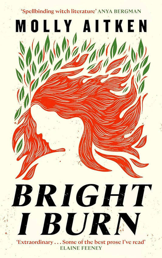 BRIGHT I BURN cover image