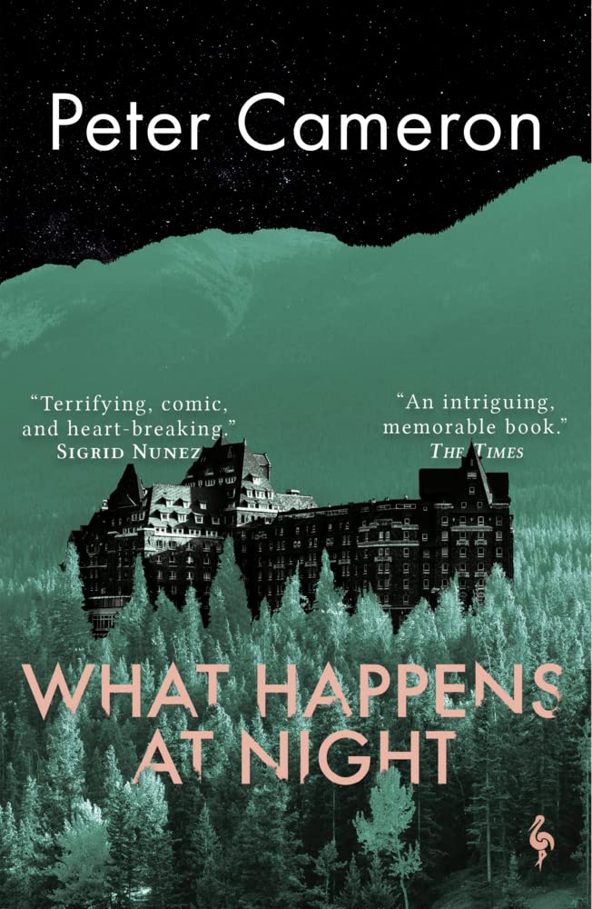 What Happens at Night cover image