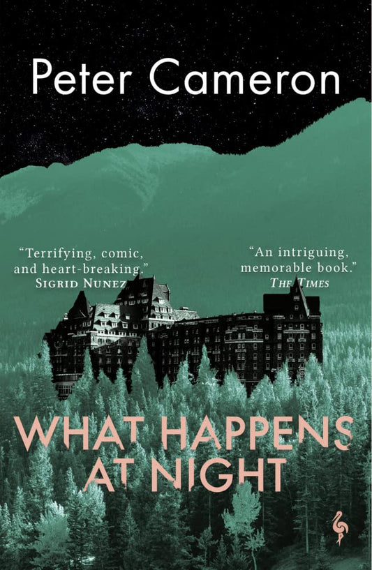What Happens at Night cover image