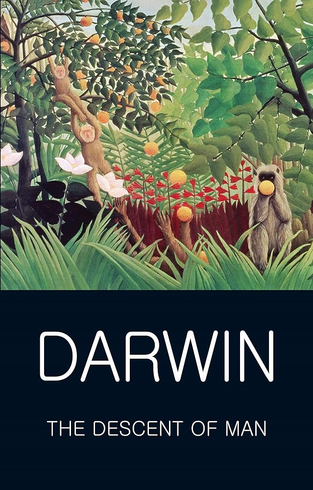The Descent of Man (Wordsworth Classics of World Literature) cover image