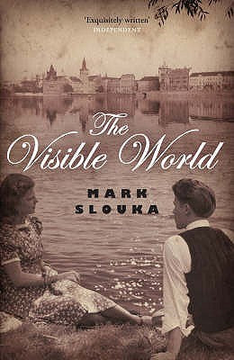 The Visible World cover image