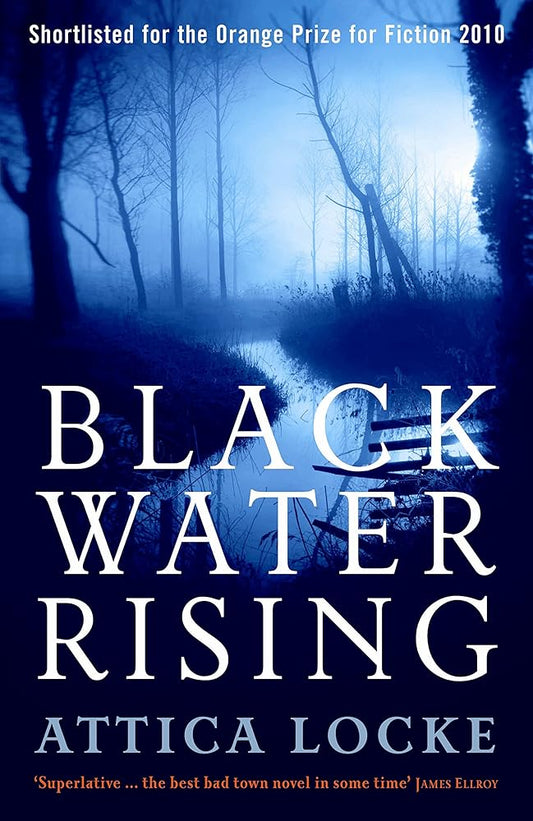 Black Water Rising (The Jay Porter mysteries by Attica Locke) cover image