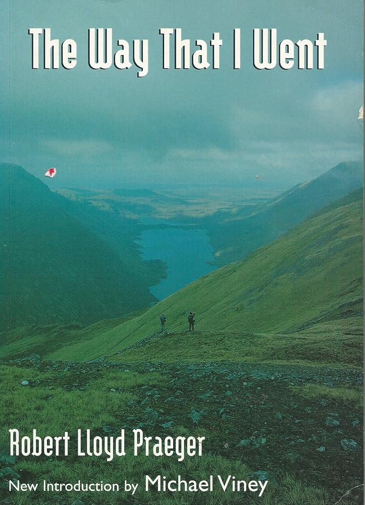 The Way That I Went: An Irishman in Ireland cover image