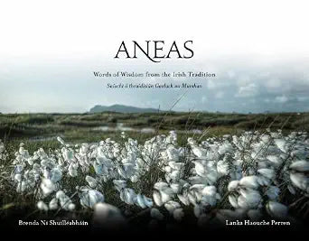 Aneas (Irish Edition) cover image