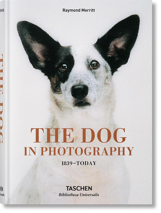 The Dog in Photography 1839–Today: Mehrsprachige Ausgabe (Bibliotheca Universalis) cover image